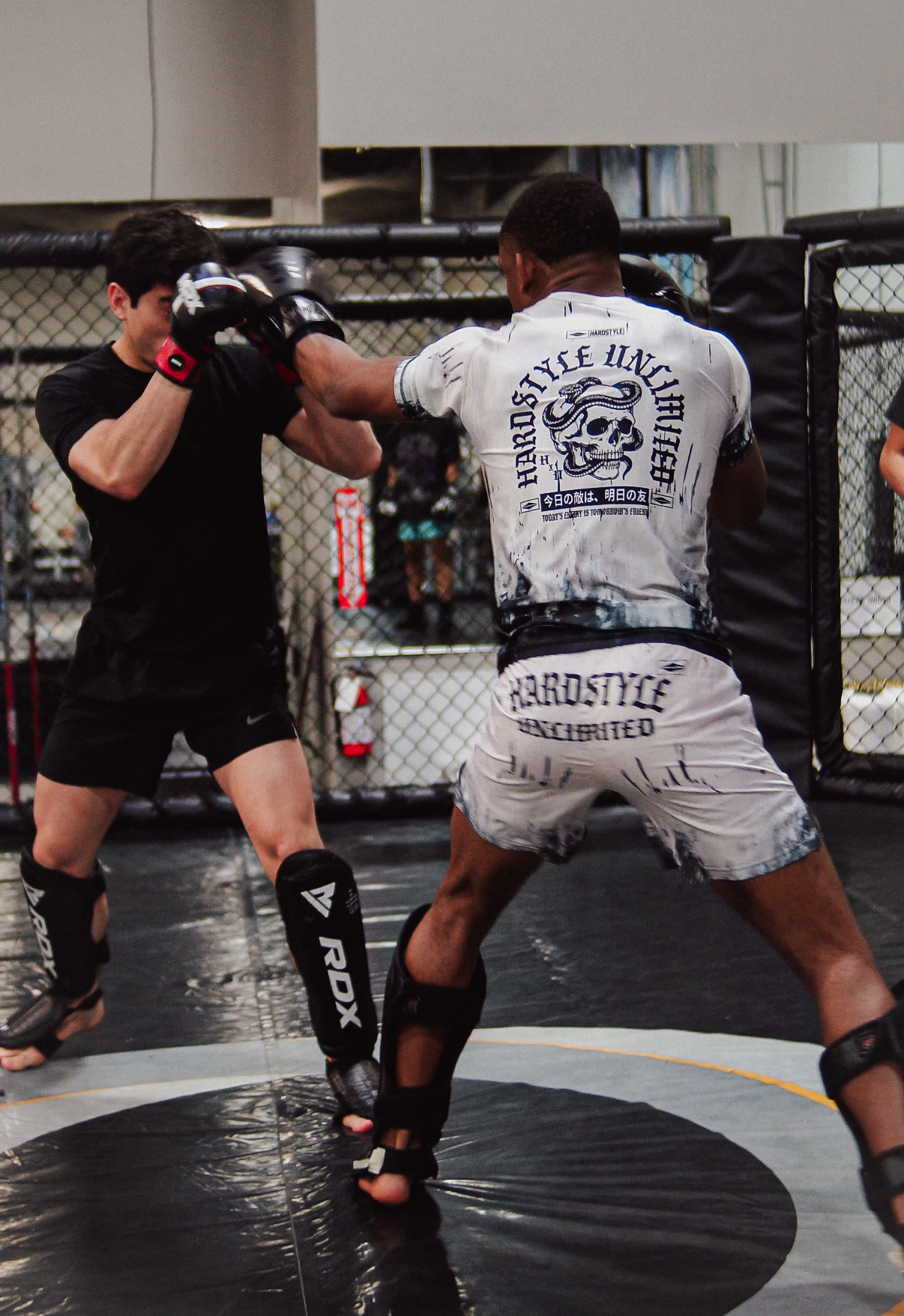 THE BONE COLLECTOR RASH GUARD