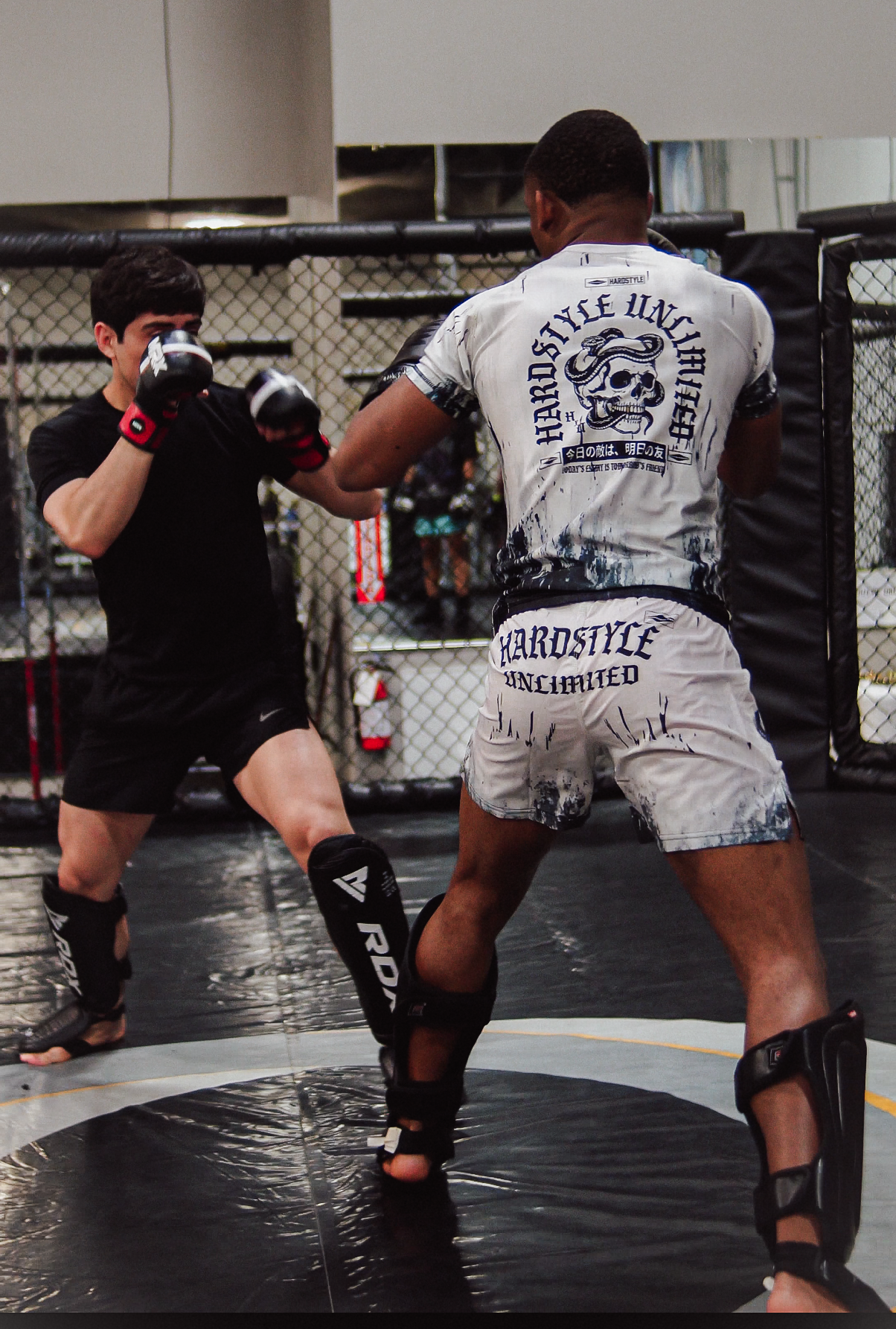 THE BONE COLLECTOR RASH GUARD